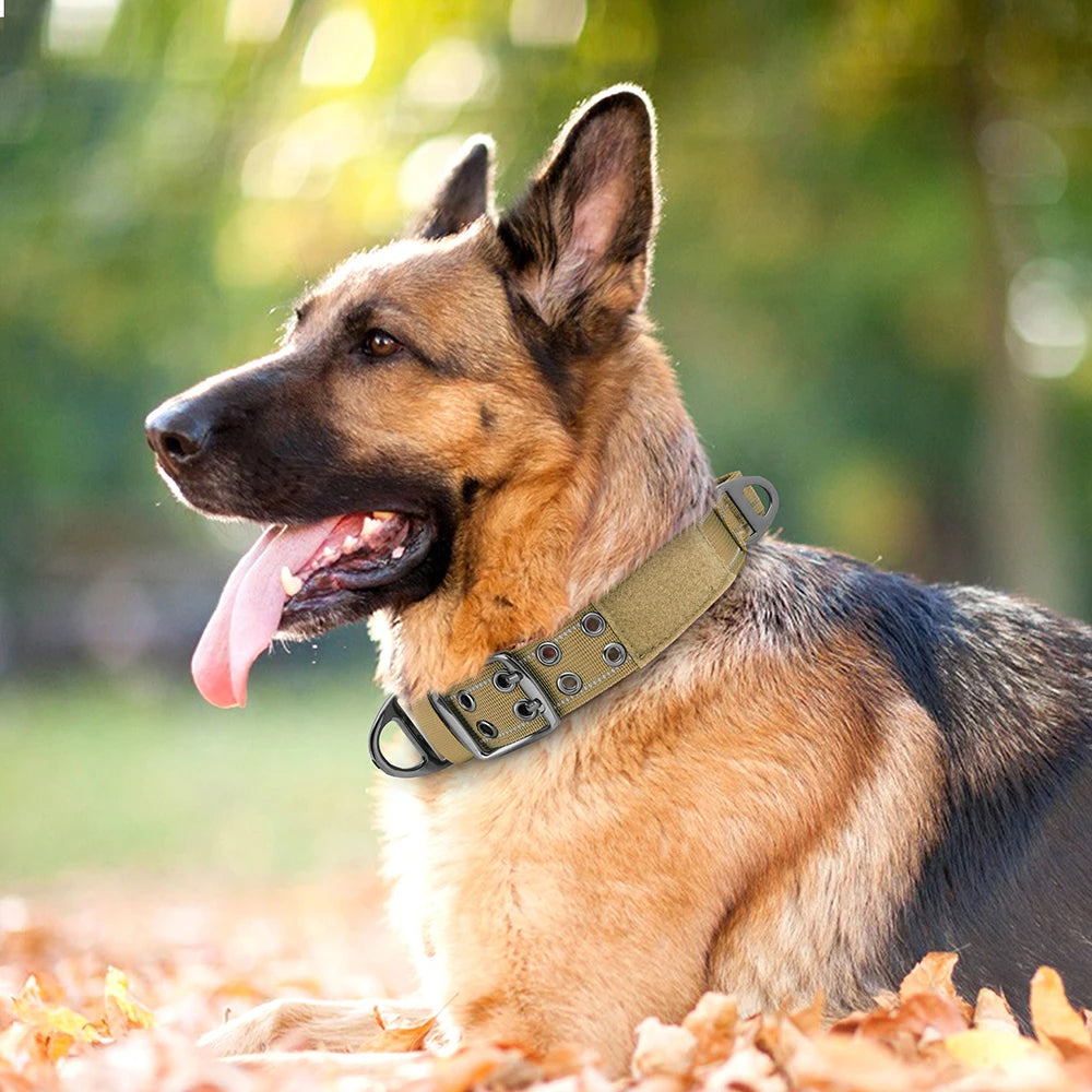 Taktik Köpek Eğitim Tasması 699699