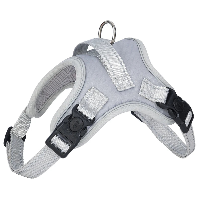 Köpek Göğüs Tasması 06725