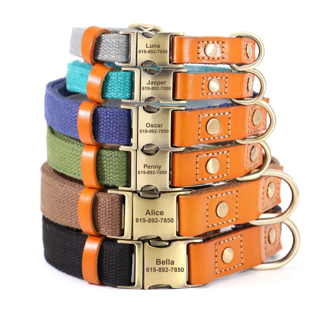 İsimli Köpek Tasması Boyun Tasması 446925