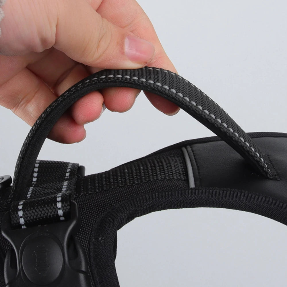 Köpek Göğüs Tasması 07068