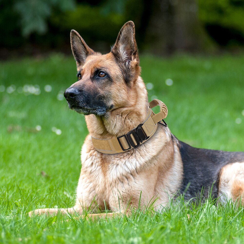 K9 Tasma Taktik Fosforlu Eğitim Tasması 54449151