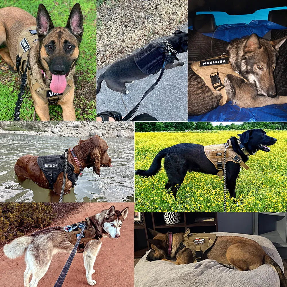 K9 Köpek Göğüs Tasması Tactical Set 970145
