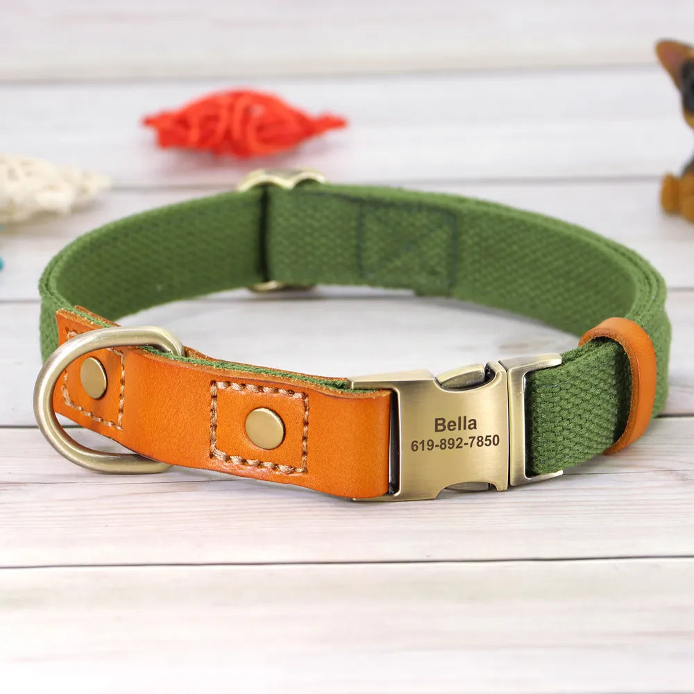 İsimli Köpek Tasması Boyun Tasması 446925