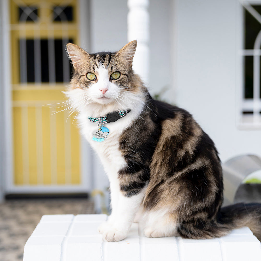 Zilli İsimli Kedi Tasması Güvenlikli Kedi Tasması