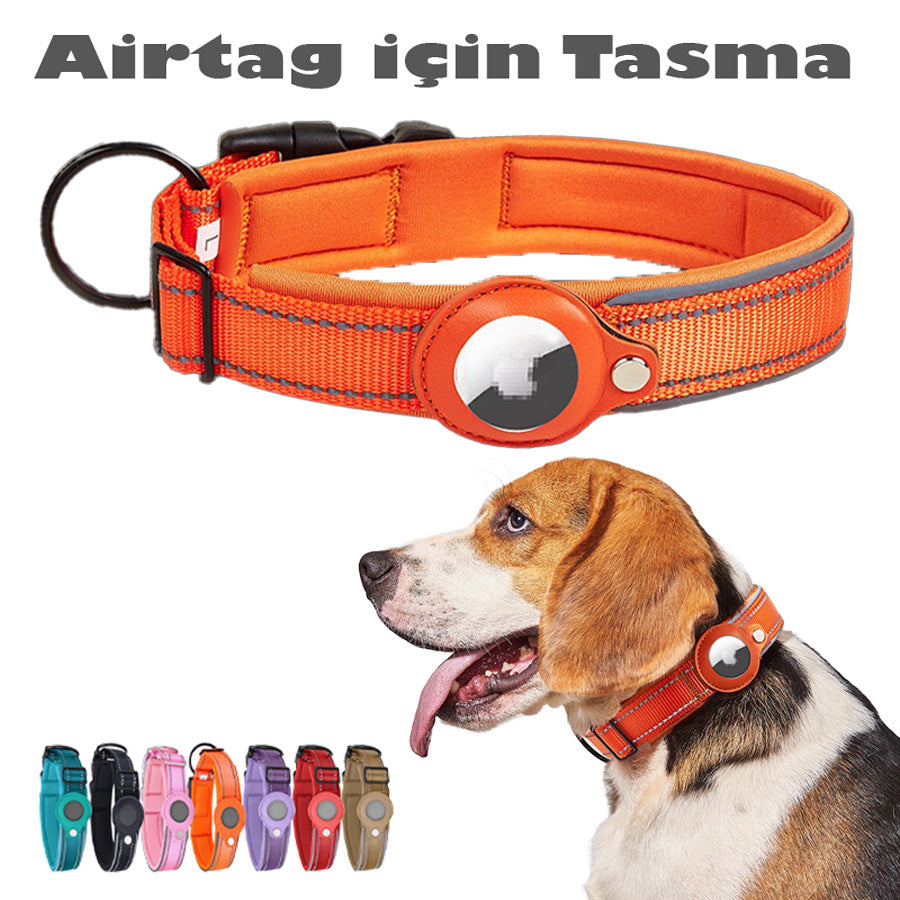 Apple Airtag İçin Yeni Anti-Kayıp Köpek Tasması