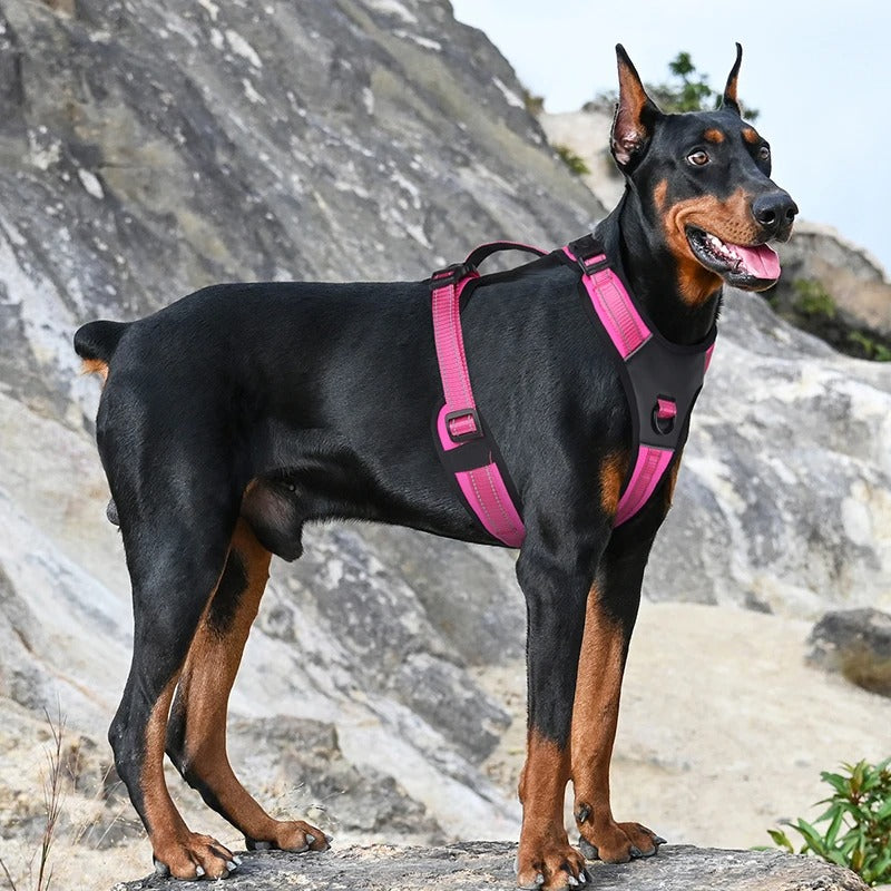 Köpek Göğüs Tasması 07068