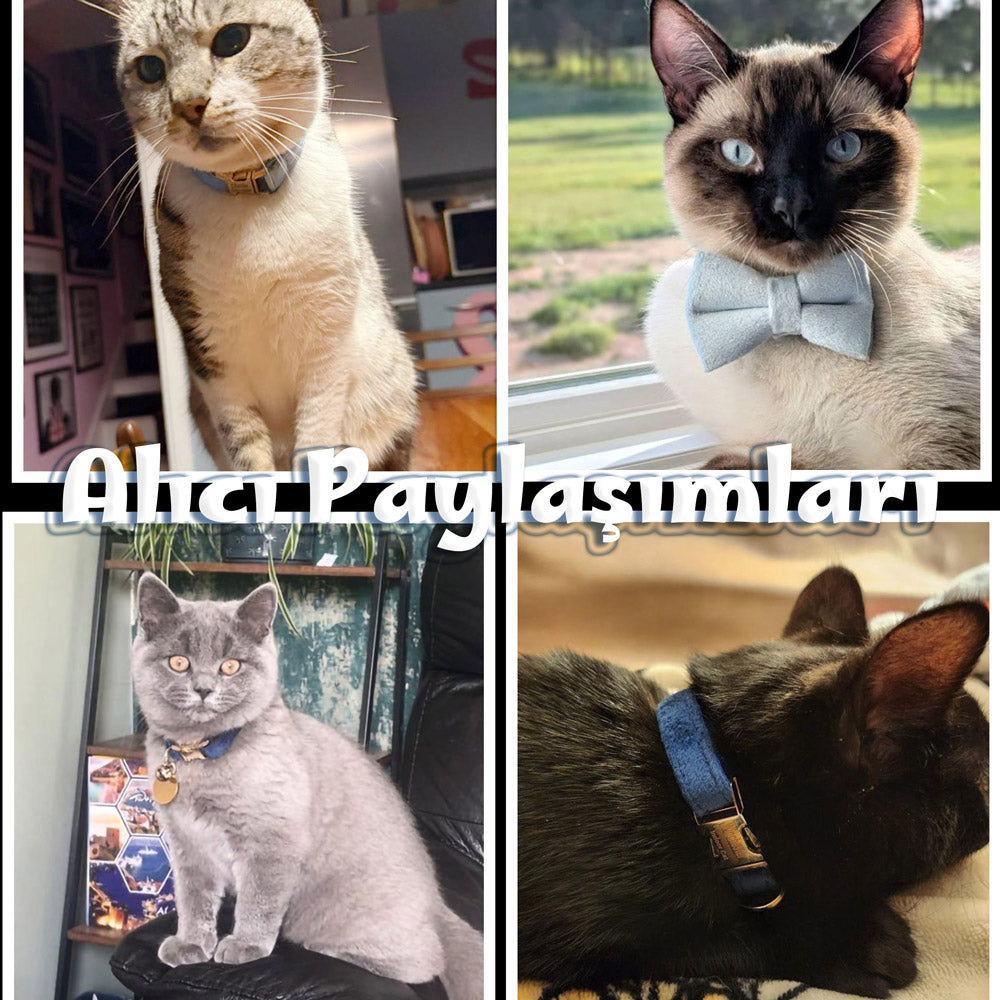 Kedi tasması Kadife İsimli Zilli 81166