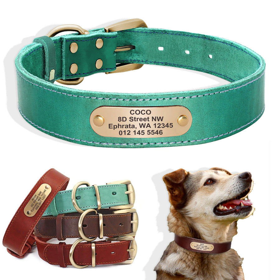 Deri köpek tasması 37942212