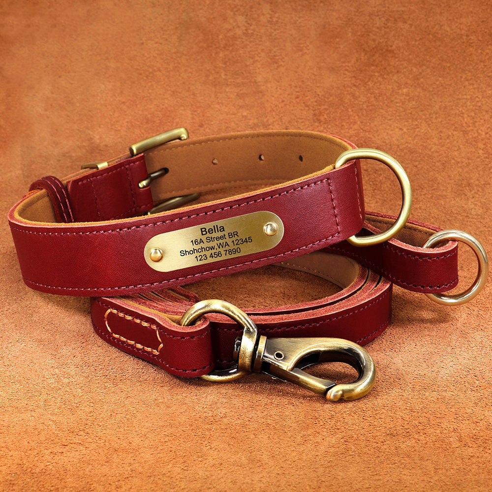 Deri Köpek Tasması SET 51118901