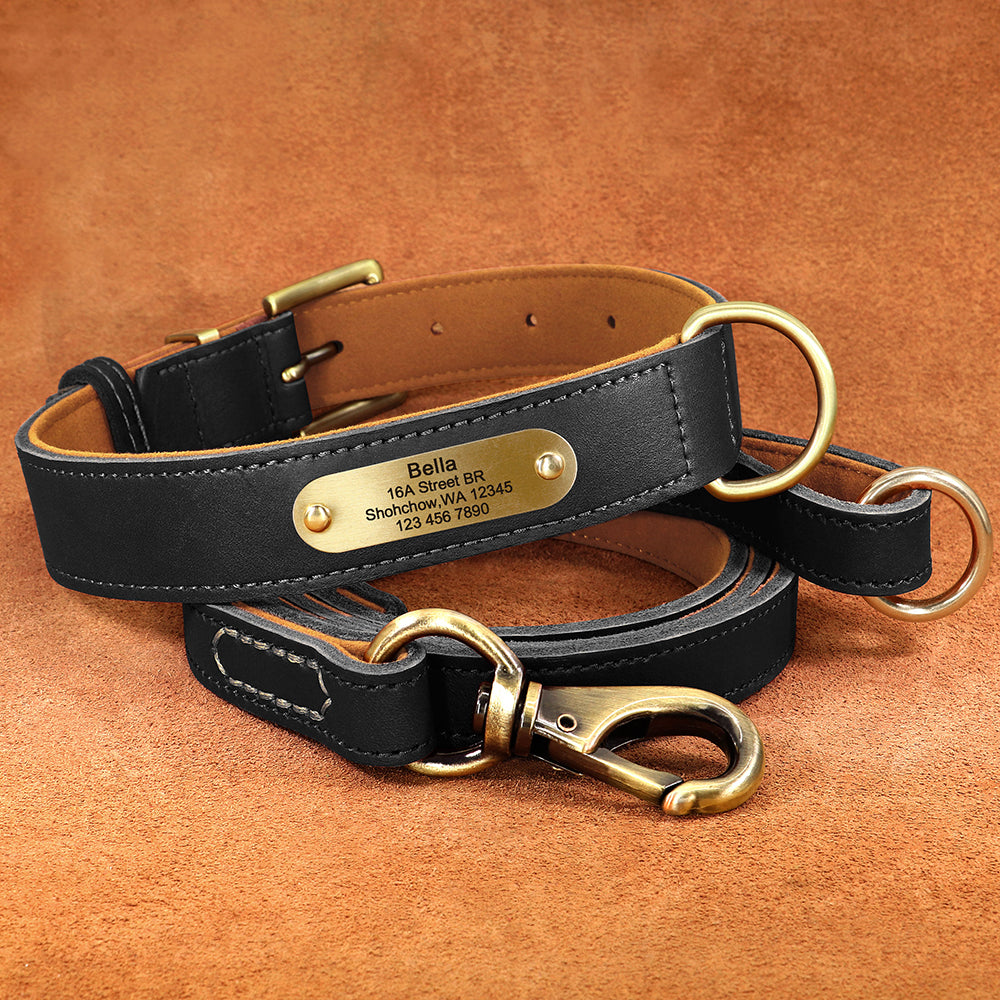 Deri Köpek Tasması SET 51118901