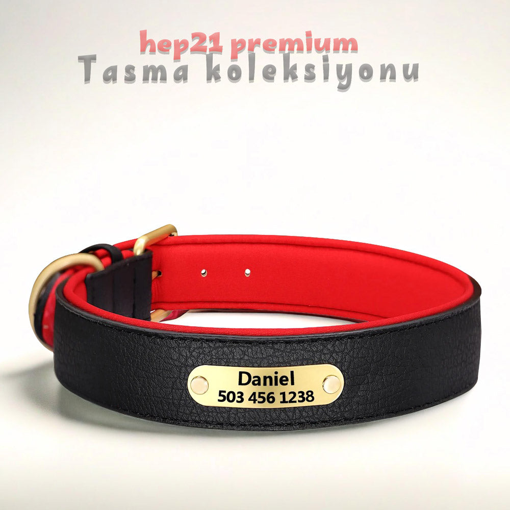 Köpek Tasması Yastıklı isimli Deri Tasma 806672
