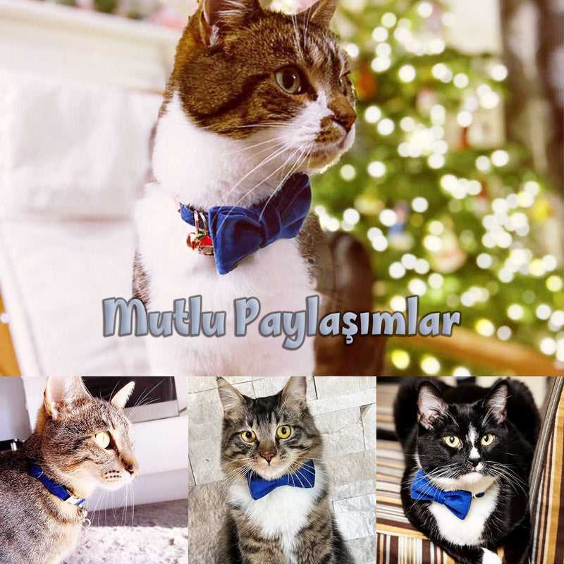 Kedi tasması Kadife isimli zilli kedi Tasma 515888