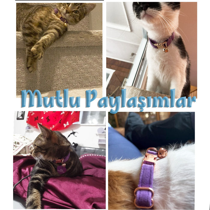 Kedi tasması Kadife İsimli Zilli 90596