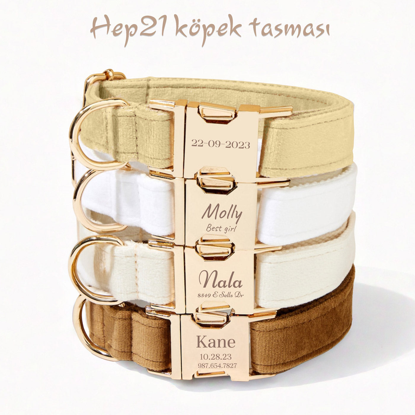 Köpek Boyun Tasması İsimli Kadife Tasma 904285