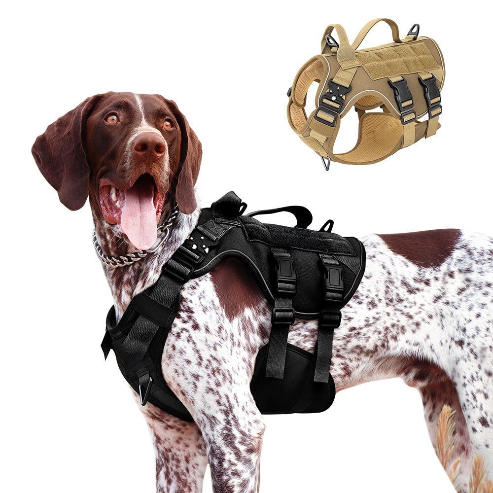 Köpek Göğüs Tasması K9 Tasarım 713360