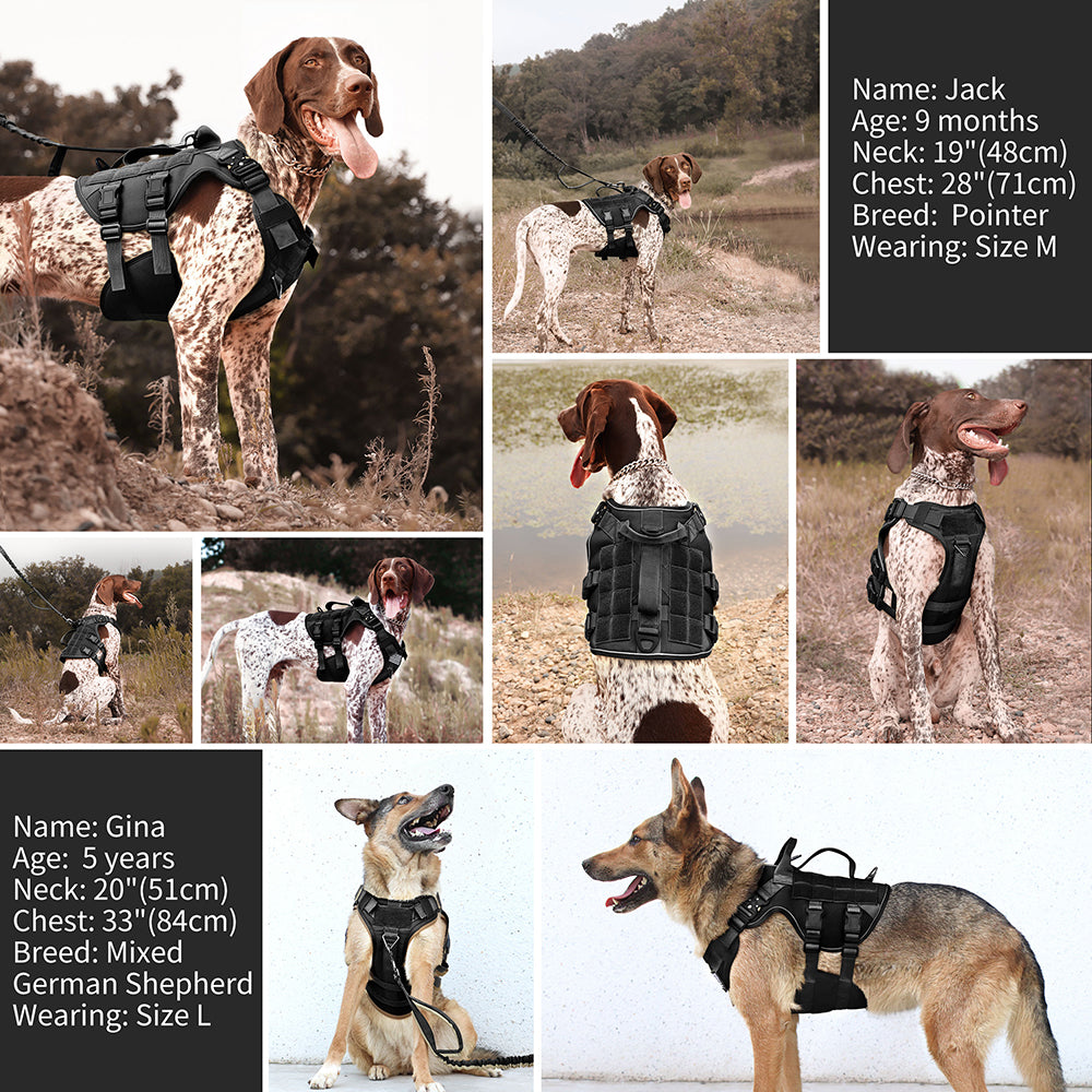 Köpek Göğüs Tasması K9 Tasarım 713360