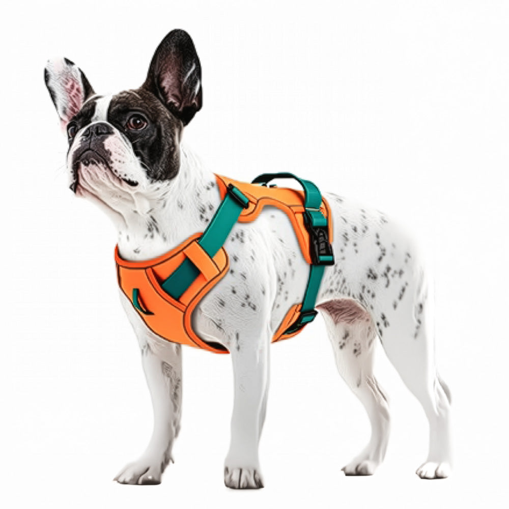 Köpek Göğüs Tasması Reflective Nefes Alabilir 73232