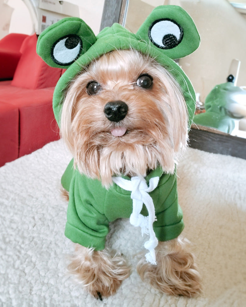Köpek Sweatshirt 44799578