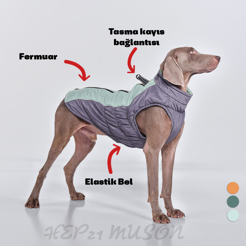 Köpek Yağmurluk Kürklü Mont Reflective 751561