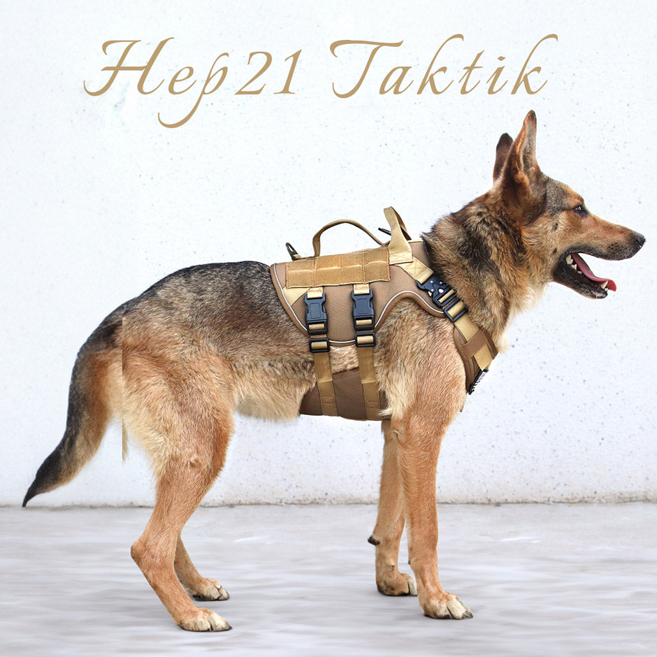 Köpek Göğüs Tasması K9 Tasarım 713360