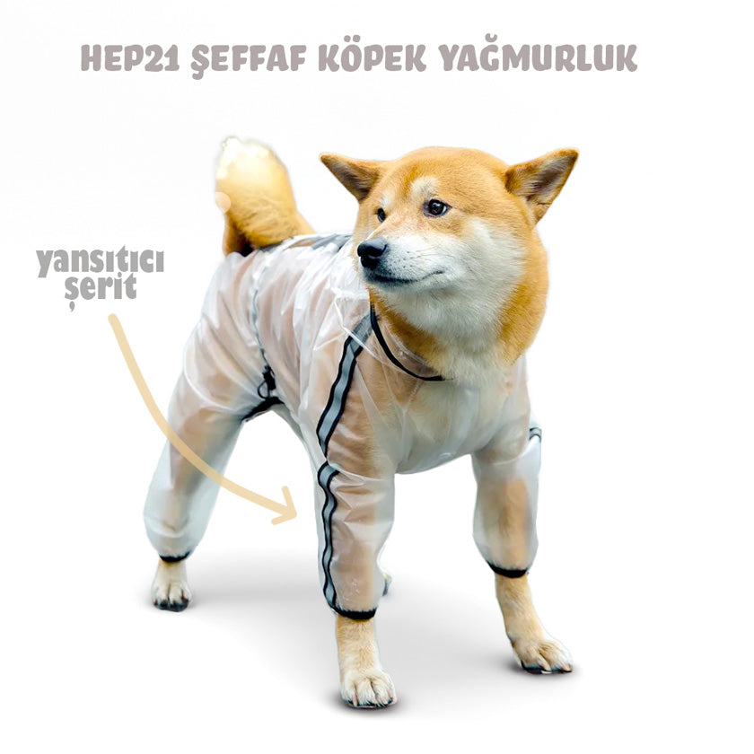 Şeffaf Köpek Yağmurluk Tulum