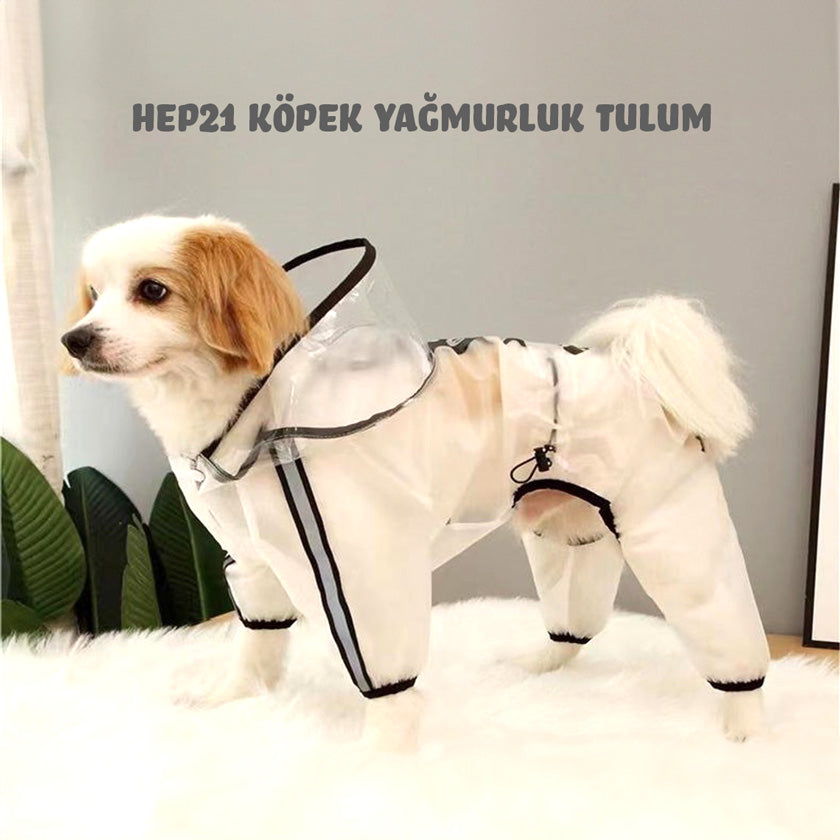 Şeffaf Köpek Yağmurluk Tulum 43937778