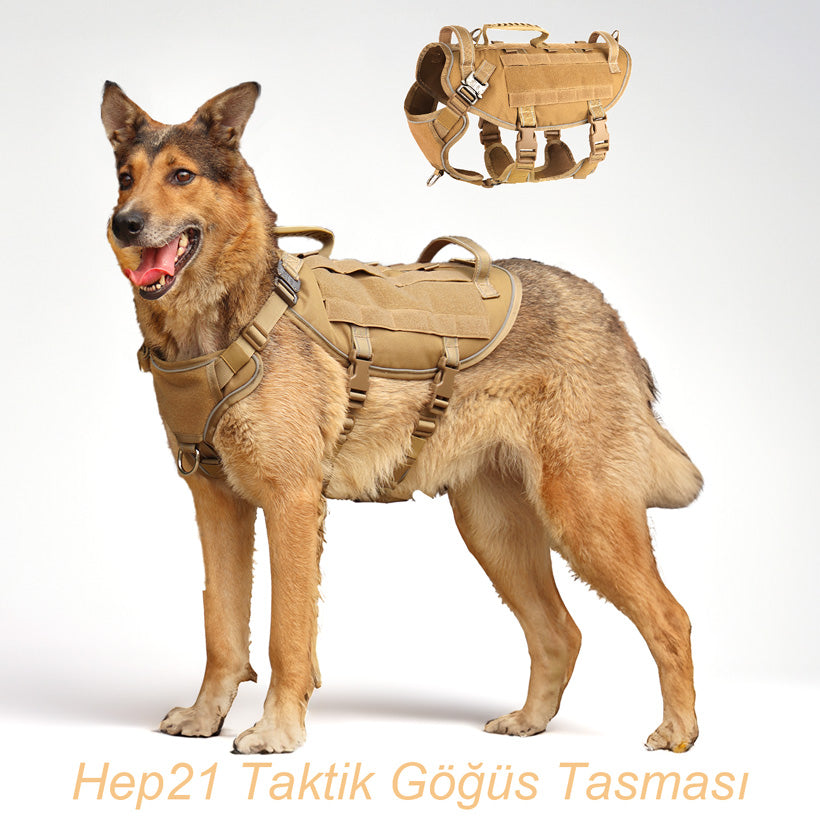 Köpek Göğüs Tasması Taktik K9 037990