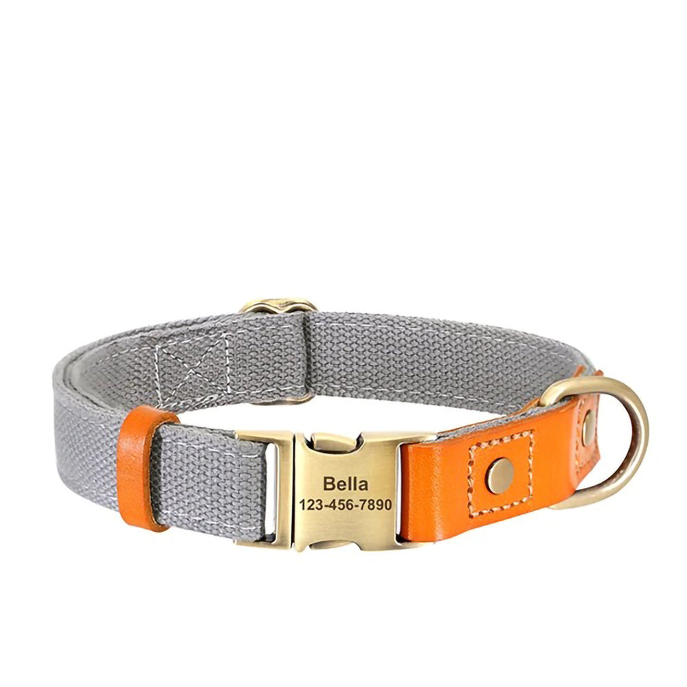 İsimli Köpek Tasması Boyun Tasması 446925