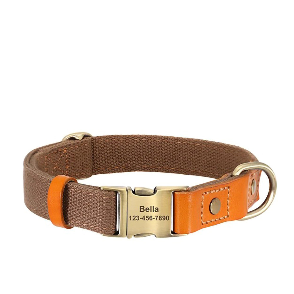 İsimli Köpek Tasması Boyun Tasması 446925