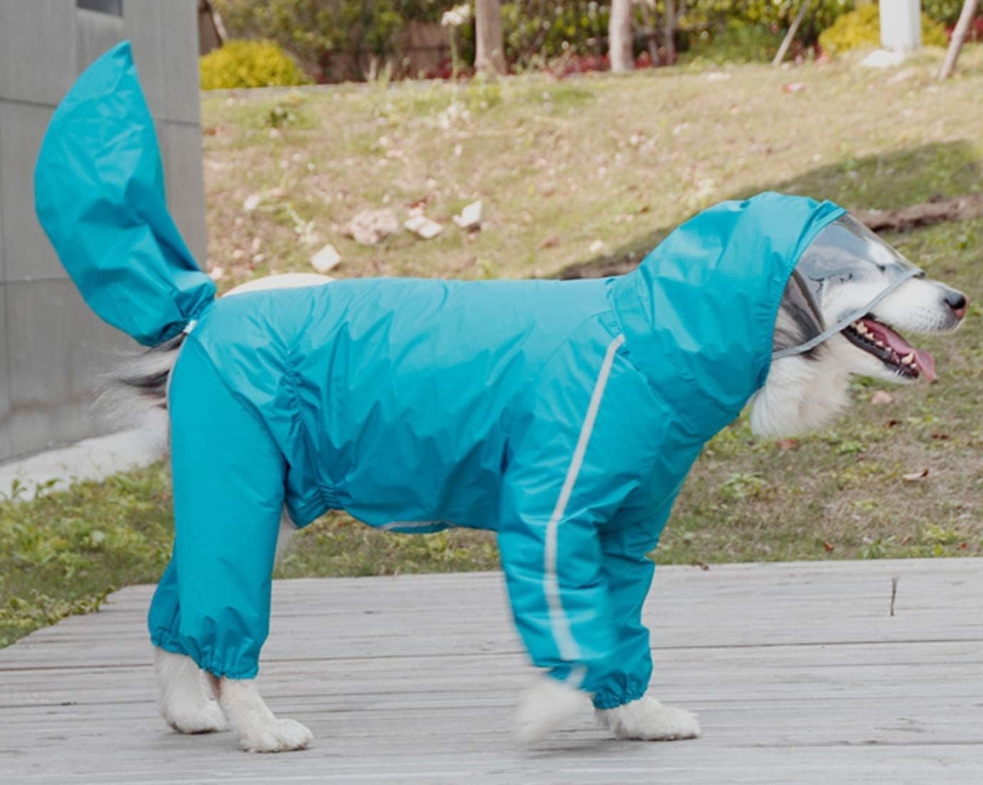 Köpek Yağmurluk Tulum 54514