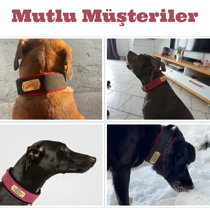 İsimli Köpek Tasma Yastıklı Geniş Boyun Tasması 489244