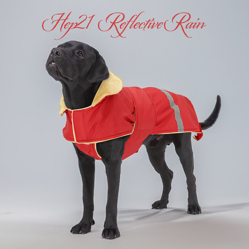 Köpek Yağmurluk Mont KOLAY GİYİLİR 48022997