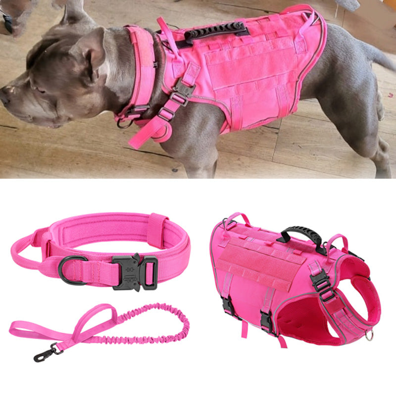 Köpek Göğüs Tasması