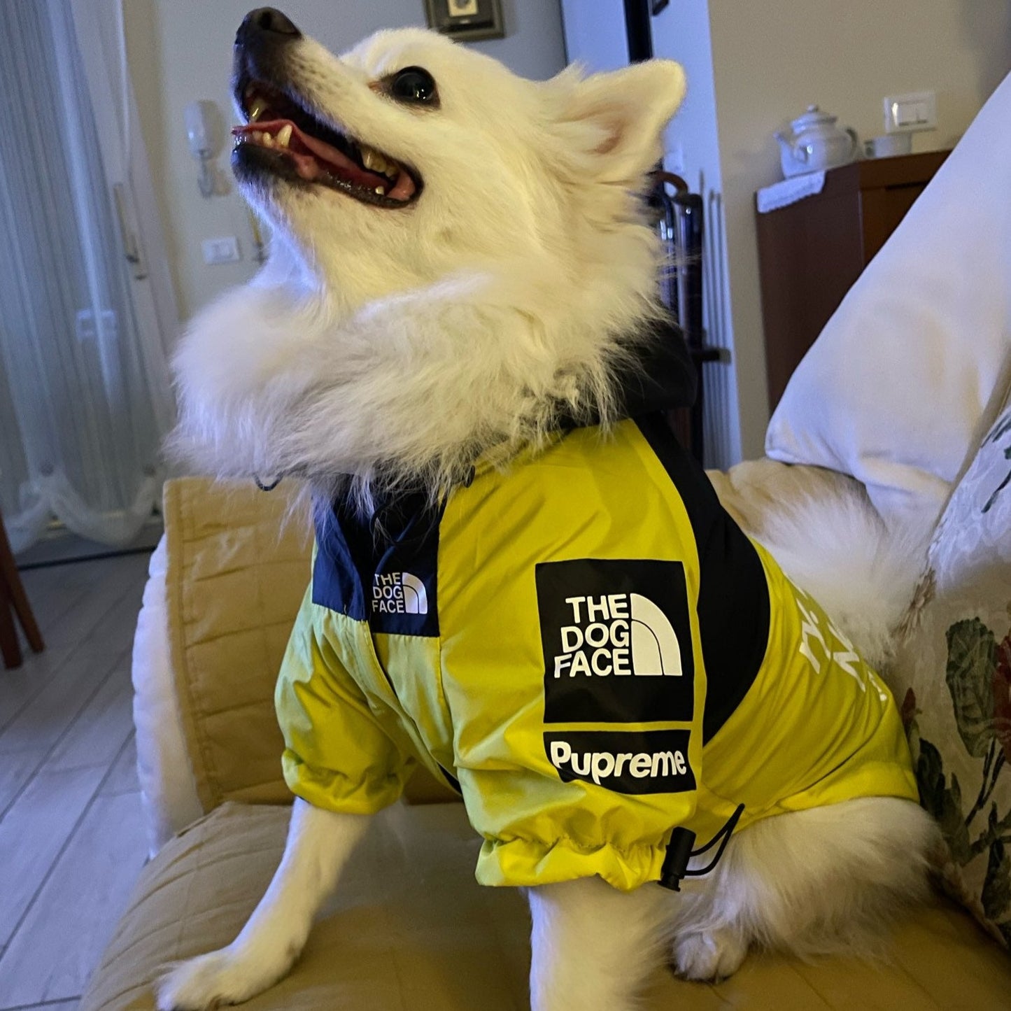 Köpek Yağmurluk 44289509