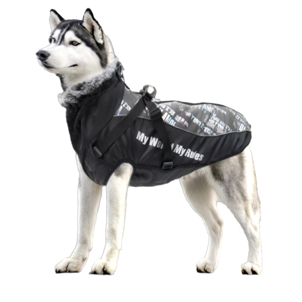 Köpek Yağmurluk