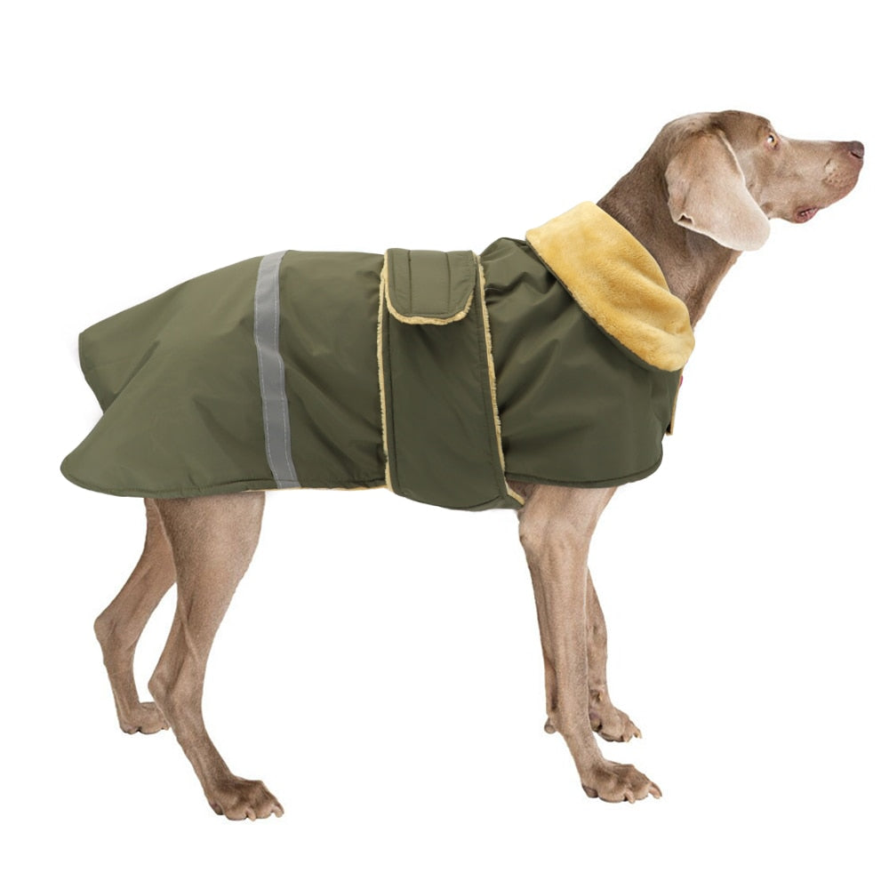 Köpek Yağmurluk
