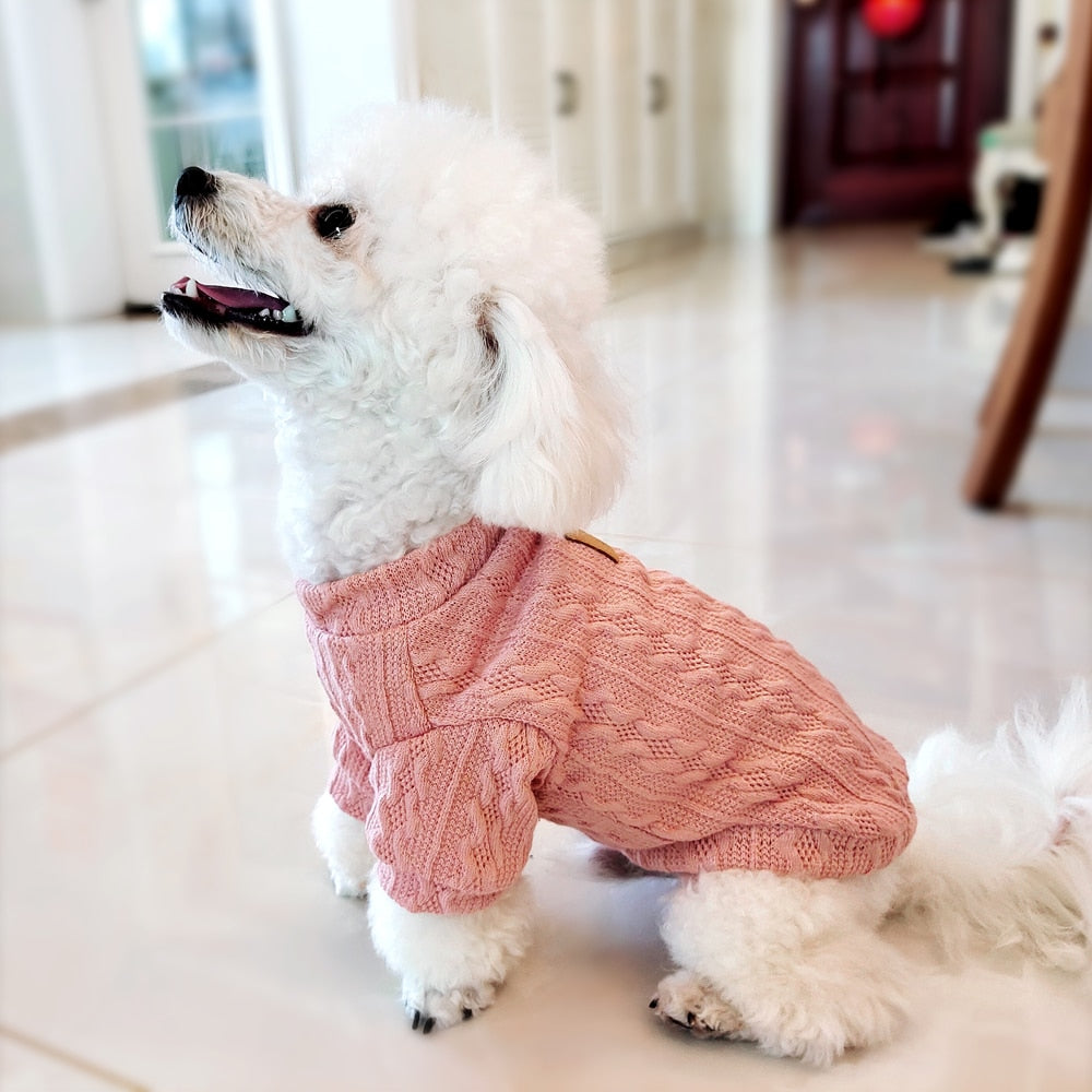 Kedi Kazağı 47017688