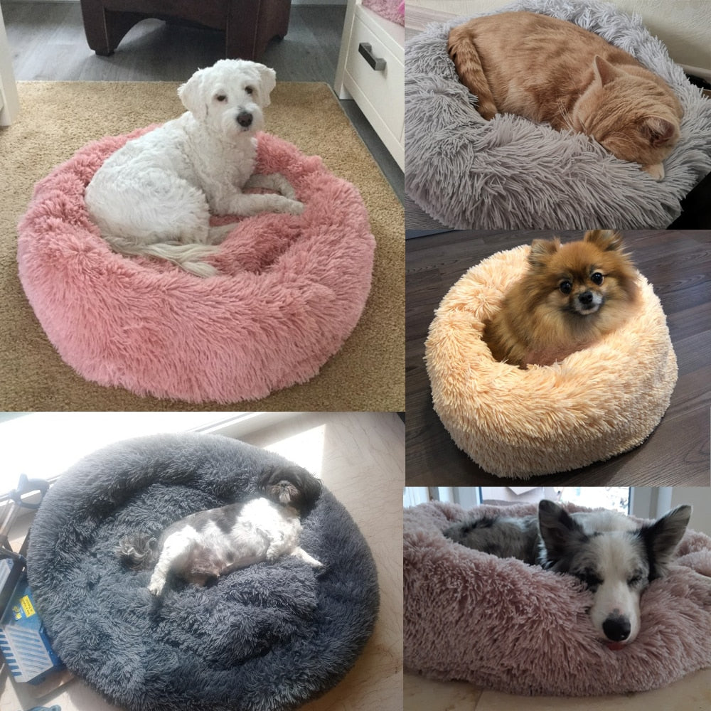 köpek yatağı 28030908