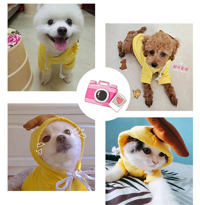 Köpek Sweatshirt 44799578