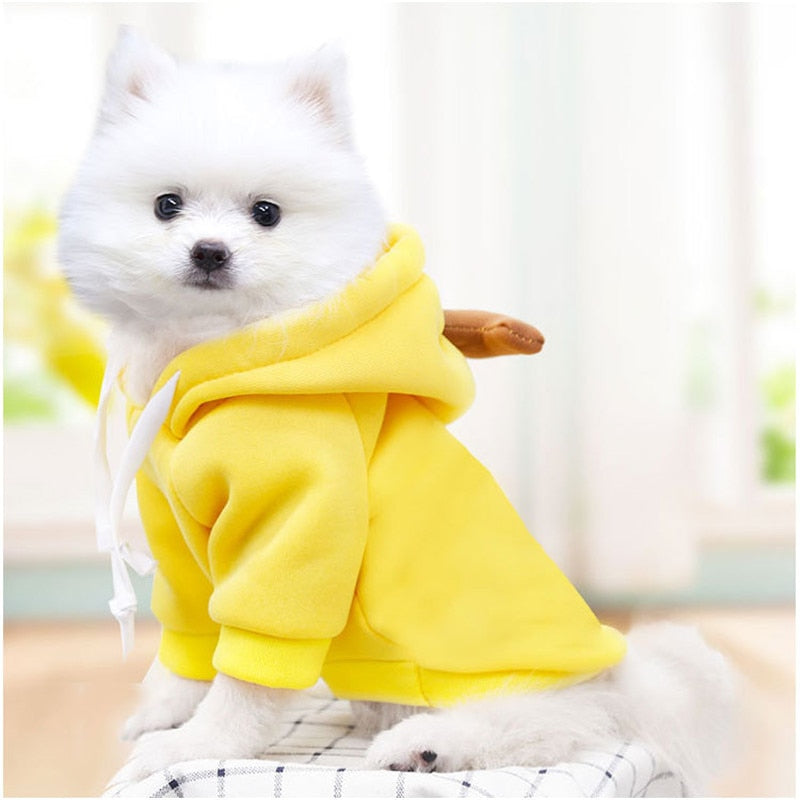 Köpek Sweatshirt 44799578