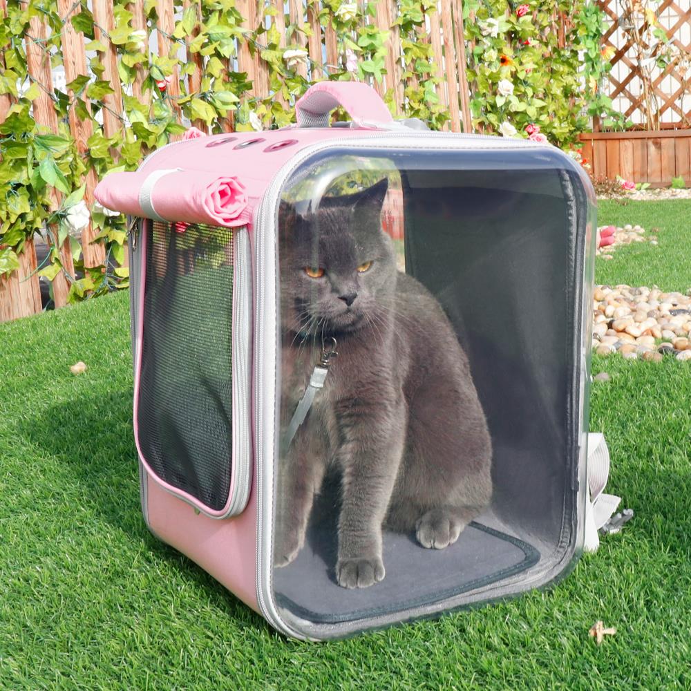 Kedi taşıma çantası 31779046