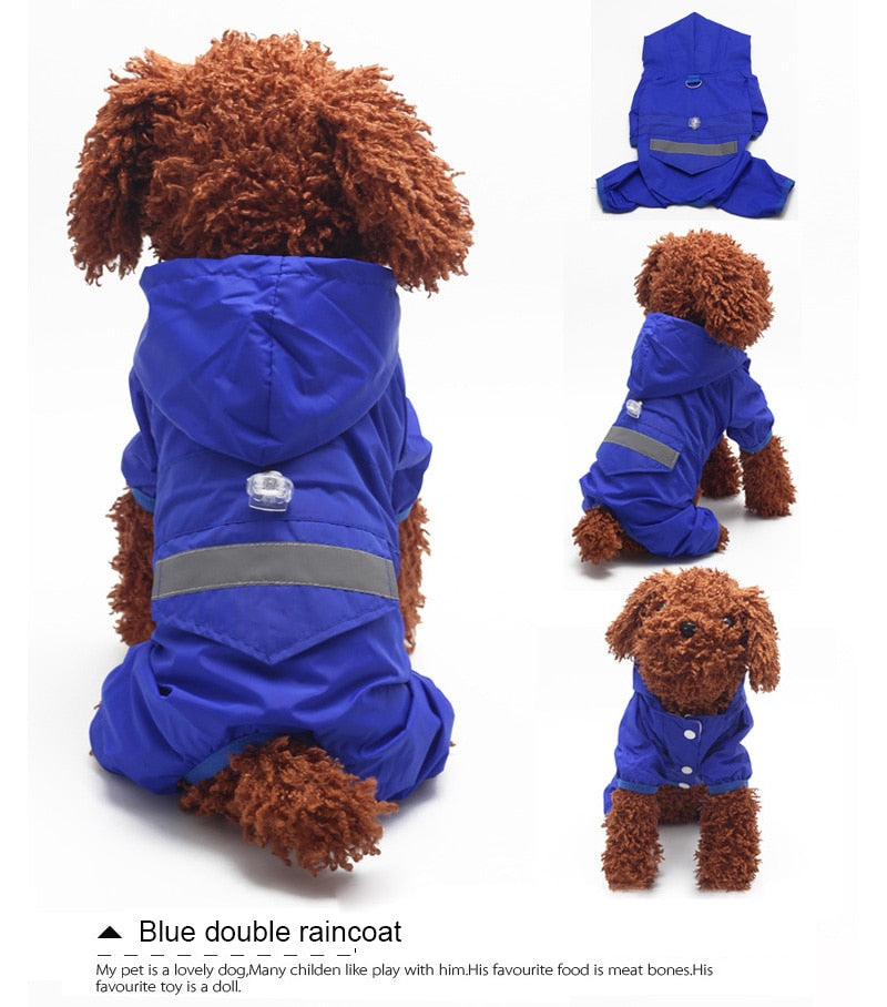 Köpek Yağmurluk Ayakkabı SETİ 29891857
