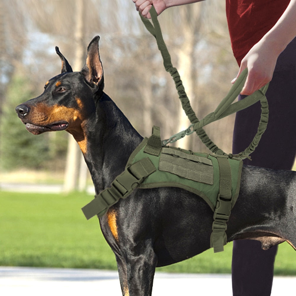Köpek Göğüs Tasması Kayış Set Tactical 39810022