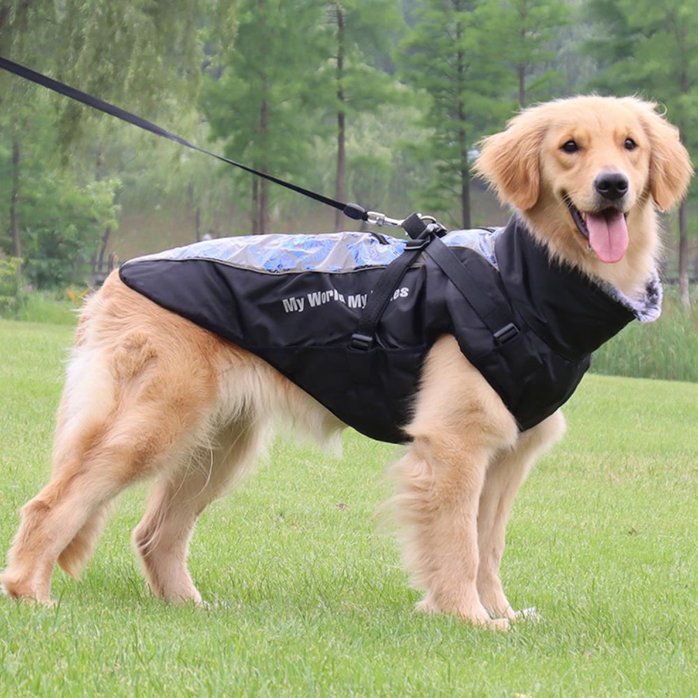 köpek yağmurluk