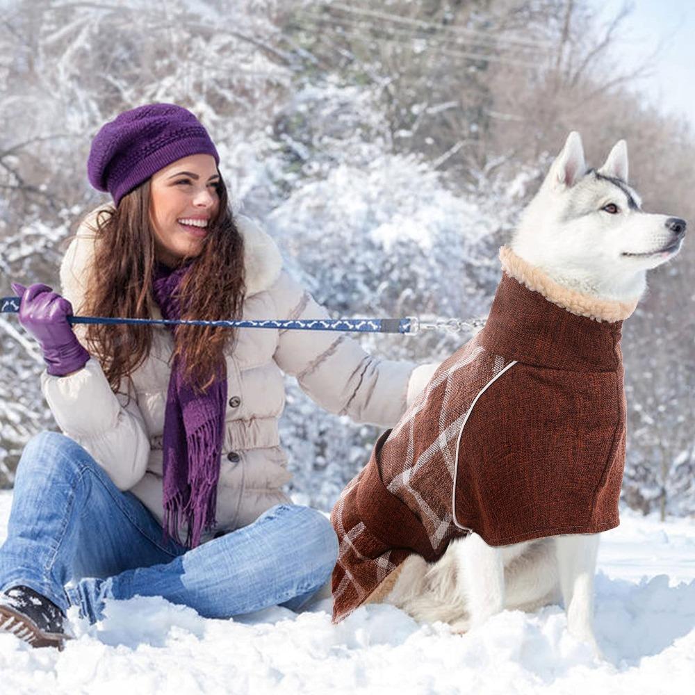 Köpek Montu 39723103