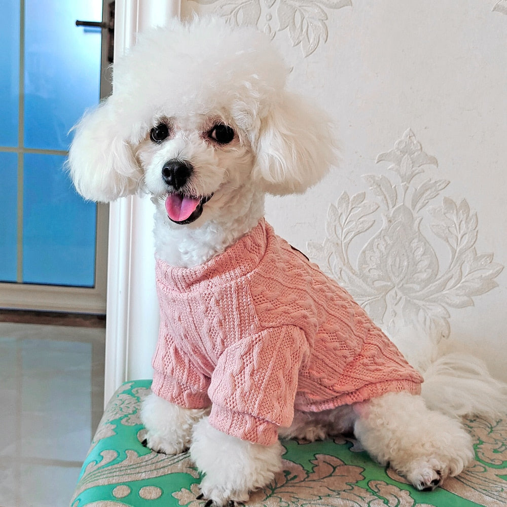 Kedi Kazağı 47017688