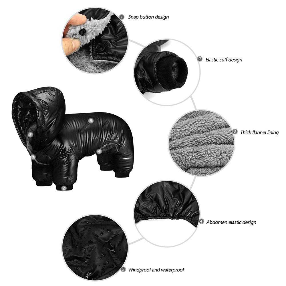 Köpek Yağmurluk Mont 47340301