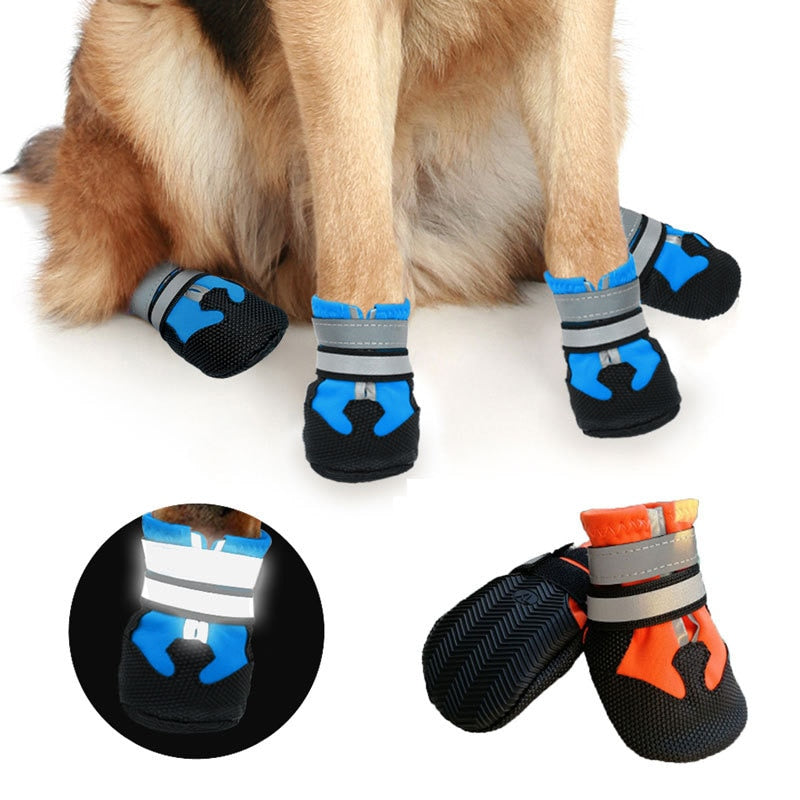 Köpek ayakkabısı Reflective 20919638