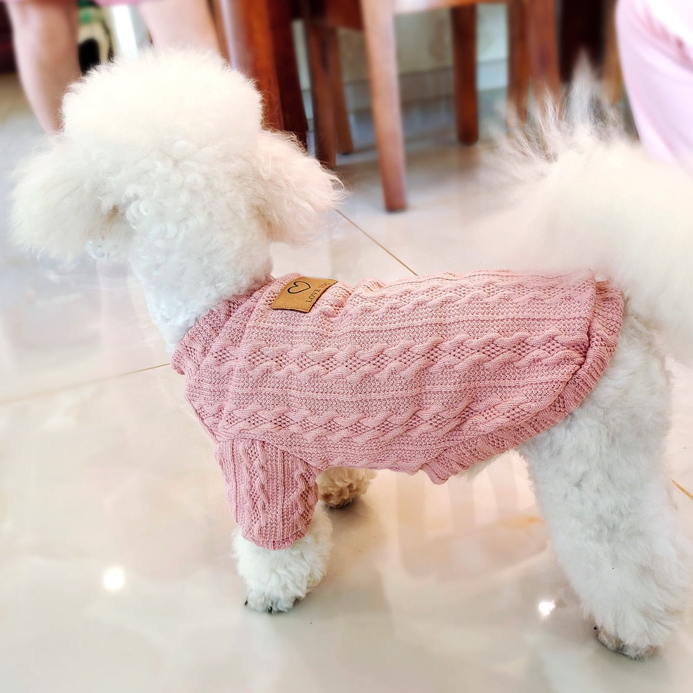 Kedi Kazağı 47017688
