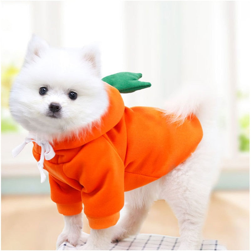 Köpek Sweatshirt 44799578